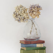 Load image into Gallery viewer, Wobble Vase Clear Large