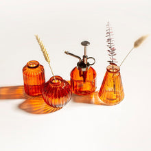 Load image into Gallery viewer, Plant Mister- Various Colours