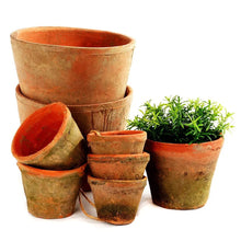 Load image into Gallery viewer, Mossed Redstone rustic small Pot