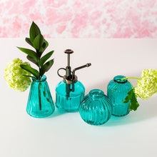 Load image into Gallery viewer, Plant Mister- Various Colours