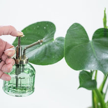 Load image into Gallery viewer, Plant Mister- Various Colours