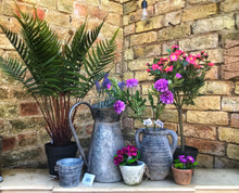 Load image into Gallery viewer, Planter With Handles Medium