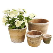 Load image into Gallery viewer, Mossed Redstone rustic small Pot