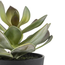Load image into Gallery viewer, Gorgeous artificial succulent plant in black pot