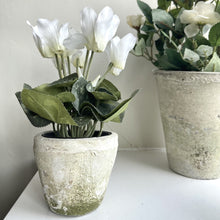 Load image into Gallery viewer, Antiqued Whitestone Pot - Small