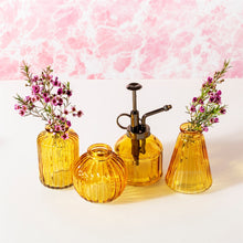 Load image into Gallery viewer, Plant Mister- Various Colours