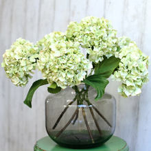 Load image into Gallery viewer, Single stem green dried hydrangea
