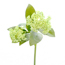 Load image into Gallery viewer, Artificial green skimmia - Bunch of all 6 stems
