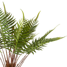Load image into Gallery viewer, Fern in Pot
