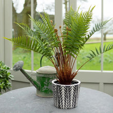 Load image into Gallery viewer, Fern in Pot
