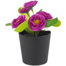 Load image into Gallery viewer, Mini Lilac Mauve potted plant
