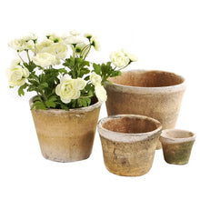 Load image into Gallery viewer, Mossed Redstone rustic small Pot
