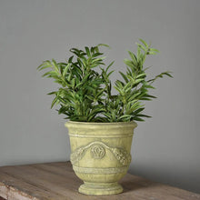 Load image into Gallery viewer, Provence Planter Large
