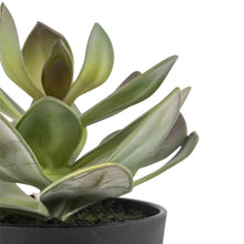 Load image into Gallery viewer, Gorgeous artificial succulent plant in black pot
